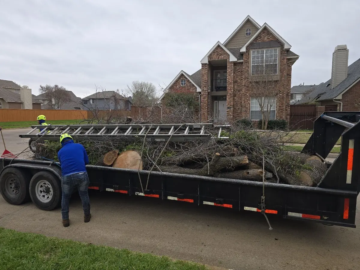 Expert Tree Pest Control with proper safety equipment in Sheep Springs